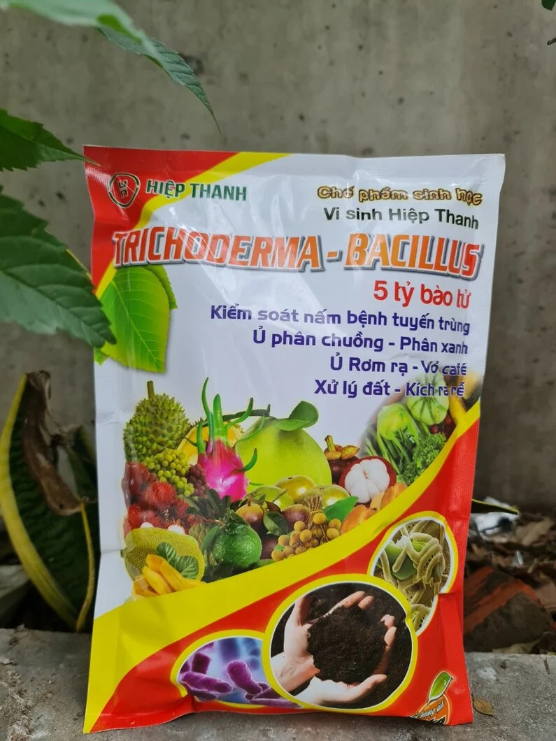 VAI TRÒ CỦA TRICHODERMA BACILLUS???