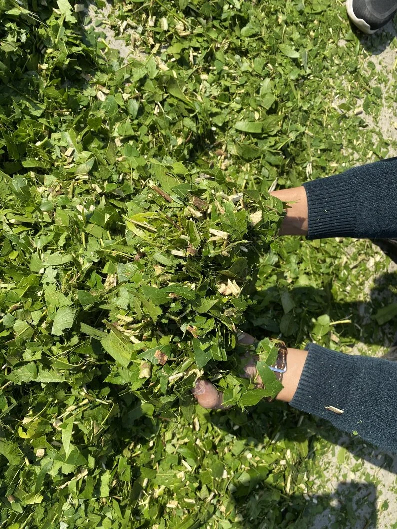 z2988770054819_182fe1392eaca3277bc6242b0aab2835 (1).webp