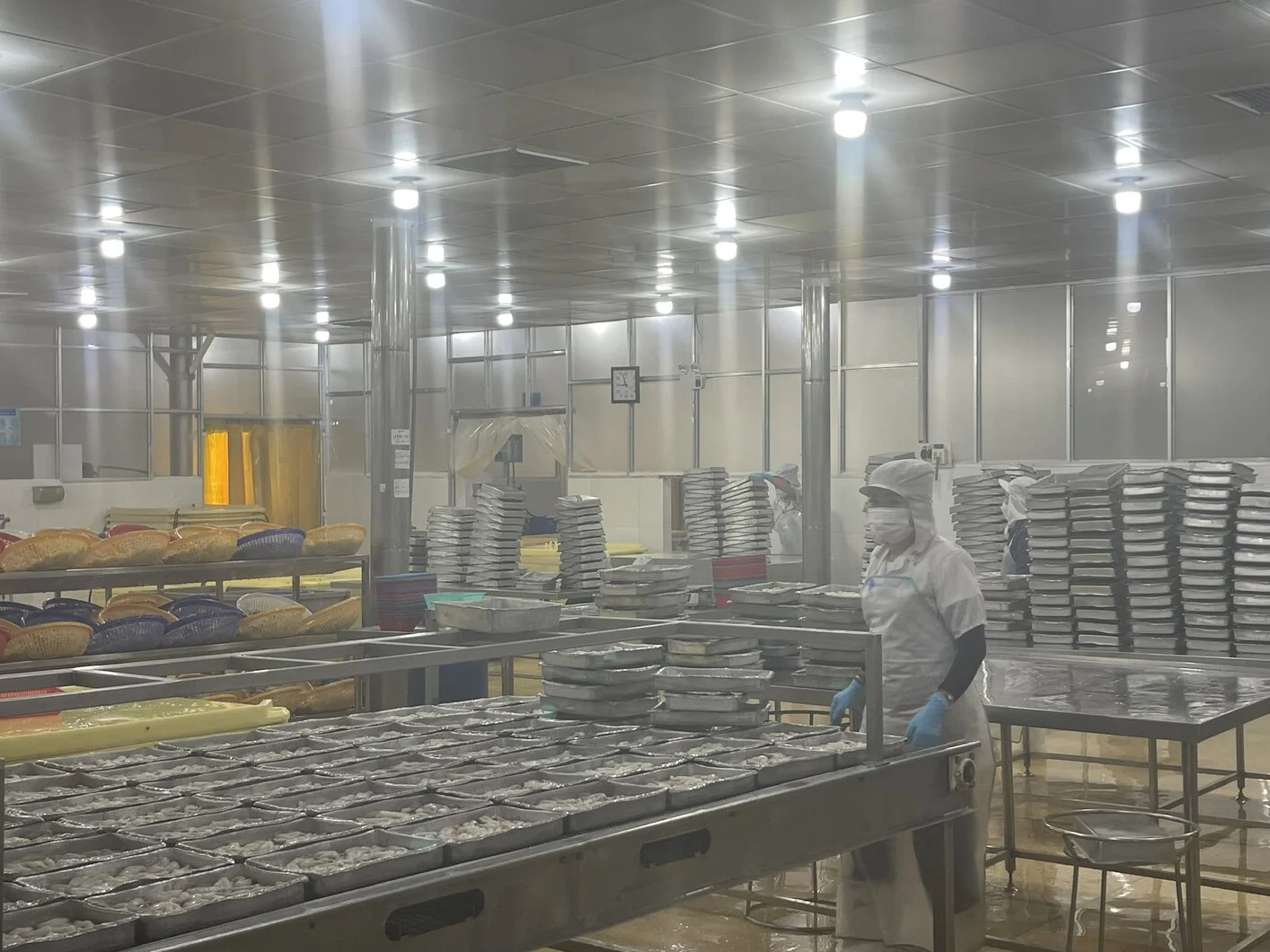 Cung cấp sỉ Bạch Tuộc