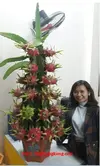 15541988_928306437270904_7473715237508267611_n.webp