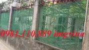 Lưới nhựa  (112).webp