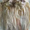 Khô mực cỡ trung.webp