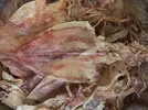 Khô mực cỡ xô.webp