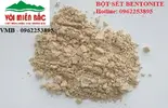 bentonite 33.webp