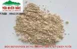 bentonite 37.webp