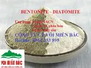 bentonite-diatomite 2.webp