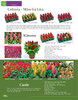 Catalogue-Farmy 1-54-22.jpg