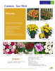 Catalogue-Farmy 1-54-25.jpg