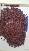 Argentina Adzuki bean 12-18.webp
