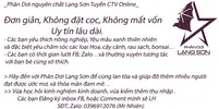 tuyen CTV ol.webp