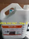 best ga mới 2019 1.webp