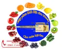 Bán máy phun khói diệt côn trùng.webp