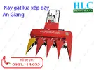 Máy gặt lúa xếp dãy an giang mua ngay.webp