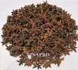 star anise 3.webp