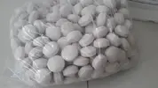 BIO-B 1.webp