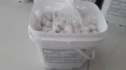 BIO-B.webp
