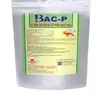 bac.webp
