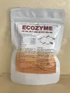 ecozyme 1.webp