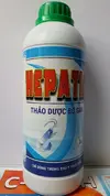 hepatic.webp