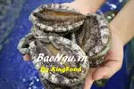 bao ngu king food.webp