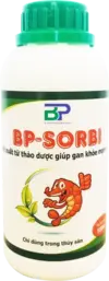 bp-sorbi.webp