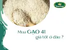 gạo_41.webp
