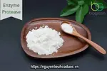 nguyen-lieu-enzyme-protease-dang-bot.webp
