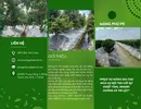 mang-phu-vuon-cay.webp