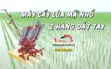 May-cay-lua-ma-nho-2-hang-dat-tay (21).webp