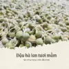 Bột-mầm-đậu-hà-lan-(4).webp
