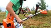 May-cat-co-Stihl-FS250 (17).webp