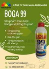 BOGA 99.jpg