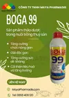 BOGA 99.webp