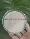 Active feed dry yeast - mẫu, sđt.jpg