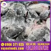 GIÁ ĐẦU CÁ HỒI - SALMON HEAD (2).webp