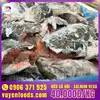 GIÁ ĐẦU CÁ HỒI - SALMON HEAD (9).webp