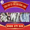 CÁ HẢI SẢN ĐÔNG LẠNH.webp