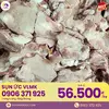 SỤN ỨC VLMK (8).webp