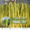 cung-cap-mang-tay.webp
