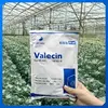 valecin.webp