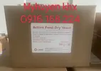 Active feed dry yeast cho cá.webp
