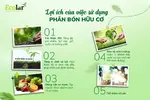 lợi ích4.webp