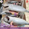 cá ngừ đông lạnh vũ yến foods (4).webp