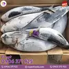 cá ngừ đông lạnh vũ yến foods (6).webp