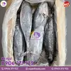 cá ngừ đông lạnh vũ yến foods (7).webp