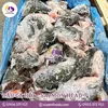 ĐẦU CÁ HỒI - SALMON HEAD (1).webp
