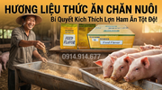 Tư Vấn Hương Liệu - Phụ Gia Thức Ăn Chăn Nuôi - HCM 1.webp