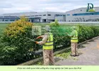 chăm sóc cảnh quan công ty nhà xưởng khu công nghiệp 090226 6.webp