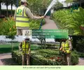 chăm sóc cảnh quan doanh nghiệp 200426 4.webp