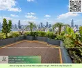 Thiết kế thi công cảnh quan chậu Composite 01052026 6.webp